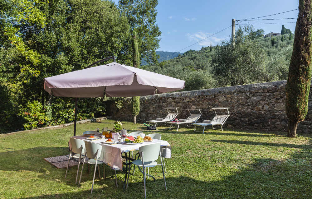 media.Slide-Ortensia-esterno