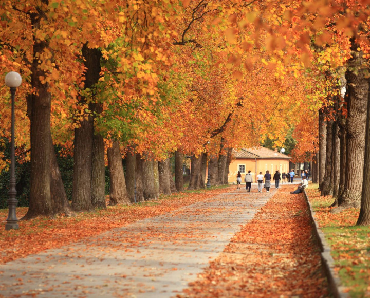 media.lucca-autunno2