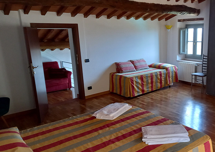 media.gallery-geranio1