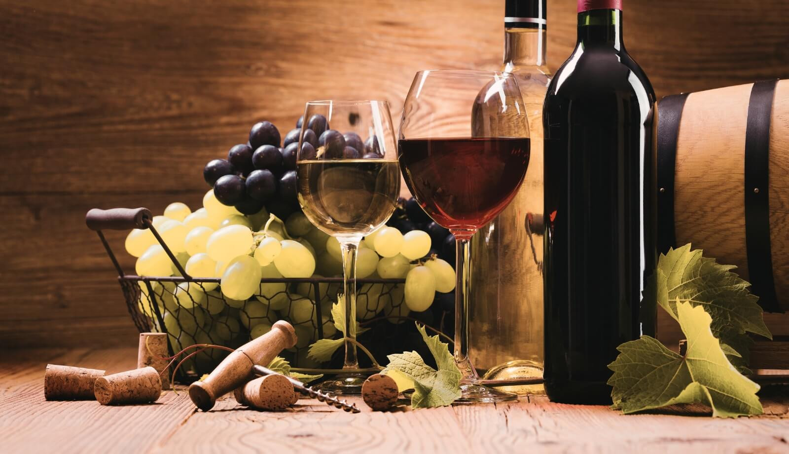 media.wine-experience-lucca