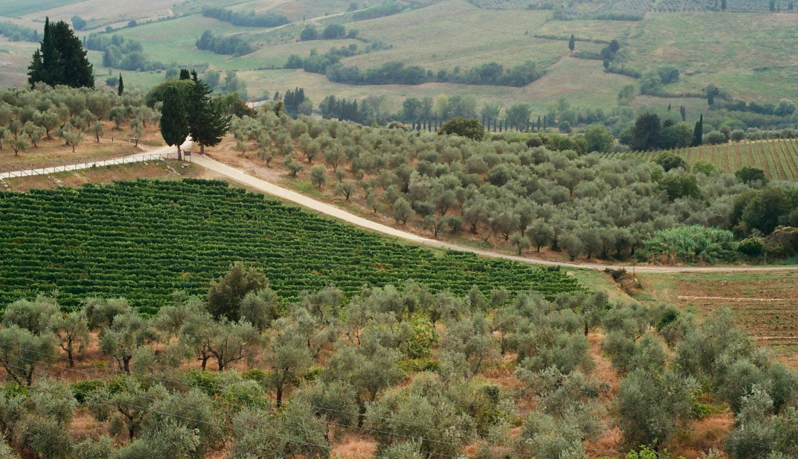 media.pfingsten-villa-guinigi