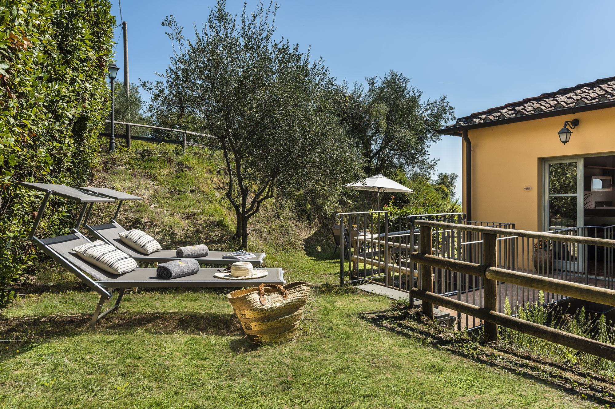 media.Slide-ulivo-esterno